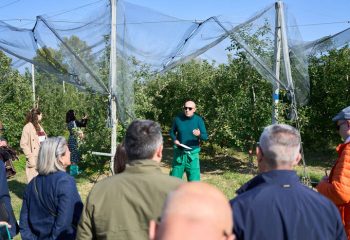 Tre sfide per MelaPiù®: innovazione, formazione e eccellenza