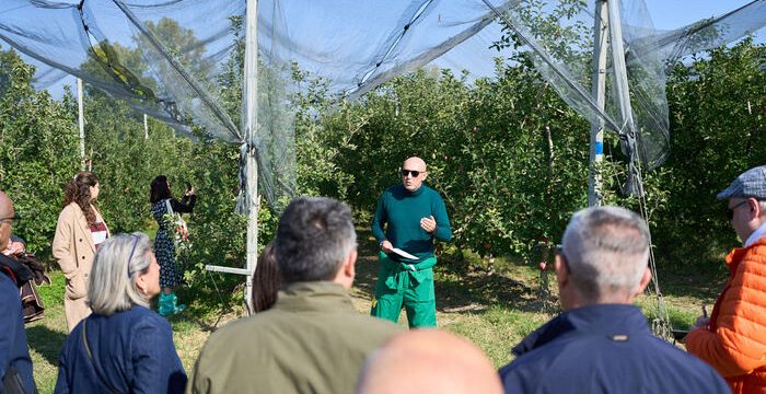 Tre sfide per MelaPiù®: innovazione, formazione e eccellenza