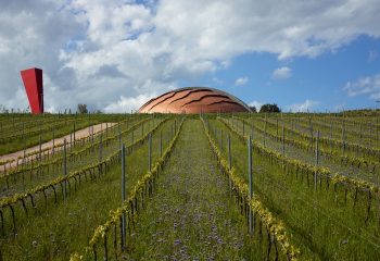 MetodoContemporaneo: nasce l’osservatorio su arte e paesaggio del vino