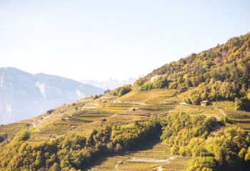 DoloViniMiti: il festival dei vini verticali dall’1 al 4 ottobre nelle Valli di Cembra e Fiemme