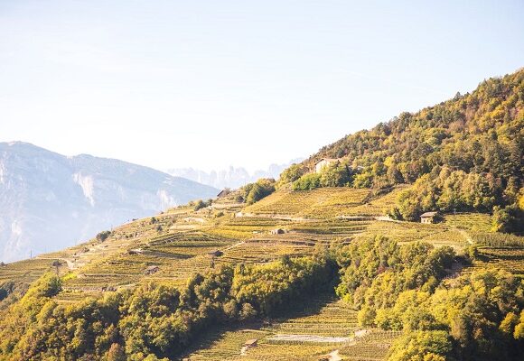 DoloViniMiti: il festival dei vini verticali dall’1 al 4 ottobre nelle Valli di Cembra e Fiemme