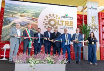 Agrintesa guarda Oltre: a Castel Bolognese il polo europeo del kiwi, investimento da 25 mln