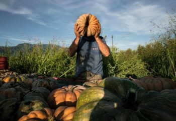 Agrosfera: 18.000 immagini e 100 mostre per raccontare chi lavora nell’agroalimentare italiano