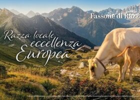 EU Beef, Pure Quality, così il Consorzio Sigillo Italiano racconta la qualità