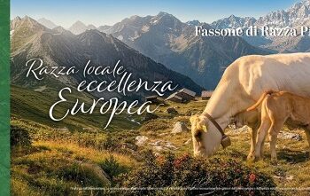 EU Beef, Pure Quality, così il Consorzio Sigillo Italiano racconta la qualità