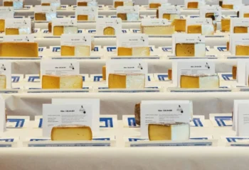 Grande successo per la 14ª edizione di Swiss Cheese Awards
