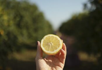 BioSikelia porta a Fruit Attraction il Limone di Siracusa biologico e IGP